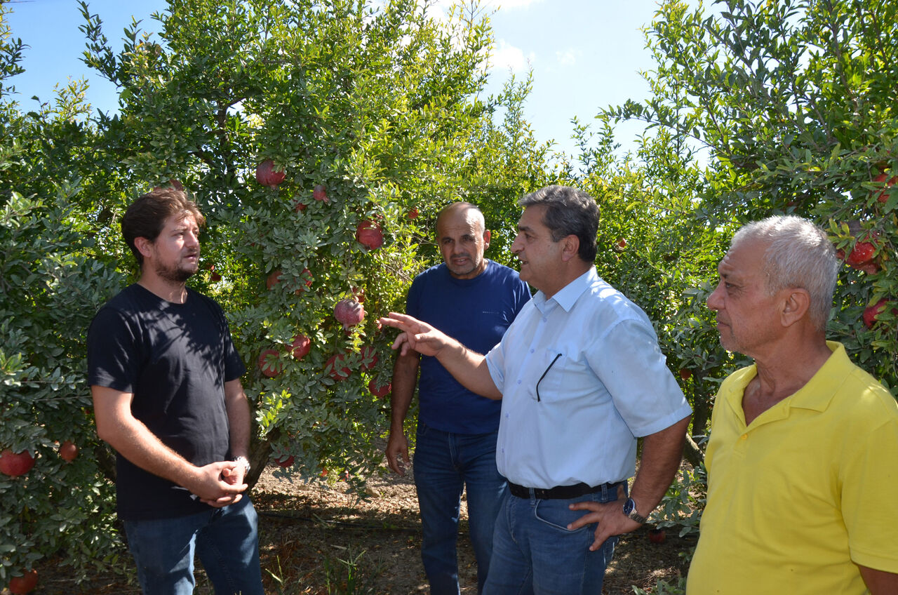 S E R I K T E N A R H A S A D I B A S L A D I 950138 282099