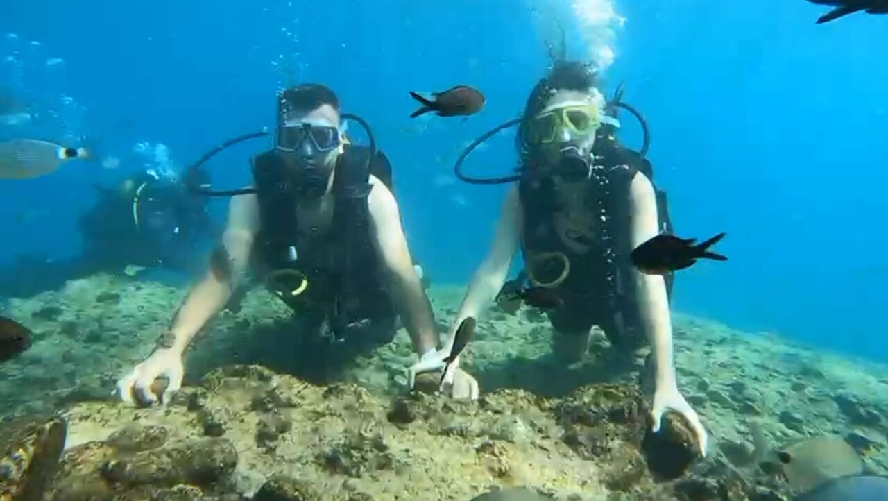 S U A L T I N D A E V L I L I K T E K L I F I Y A P I P Y U Z U K 972615 288834