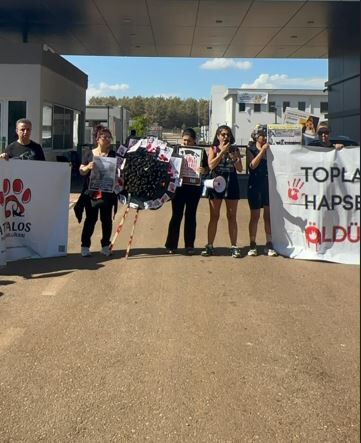 Whatsapp Görsel 2025 10 05 Saat 17.30.04 Fb5E35D1