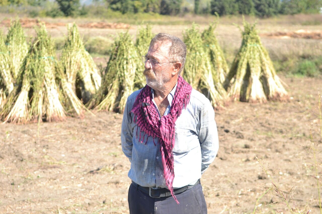 Whatsapp Image 2025 10 09 At 14.17.45