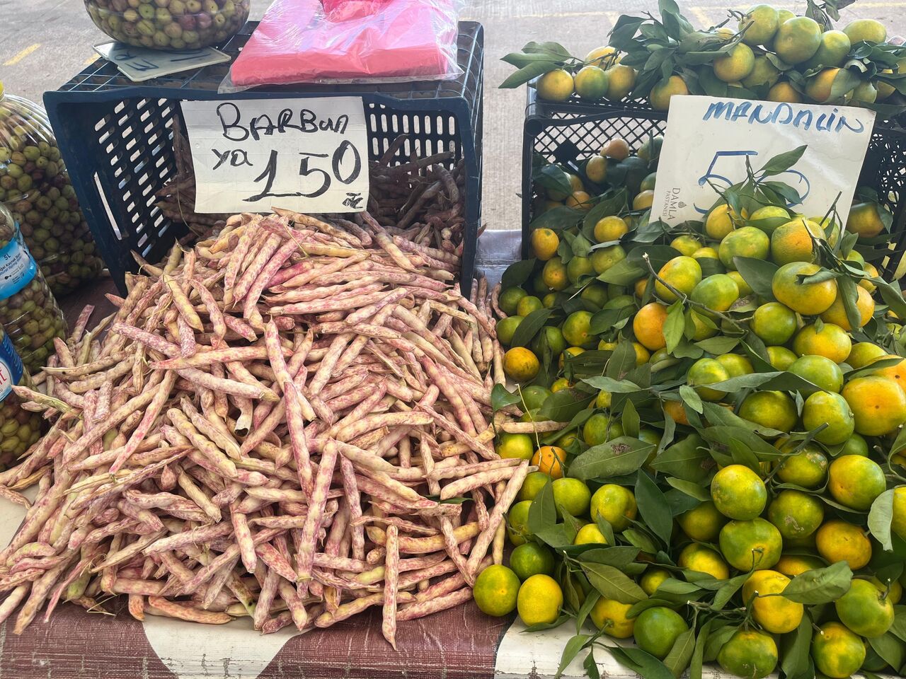 Whatsapp Image 2025 10 13 At 10.03.54 (2)