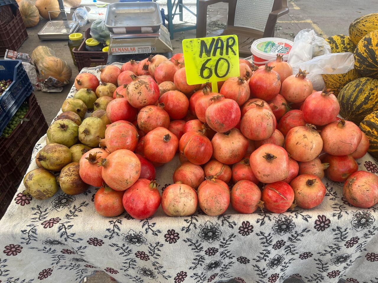 Whatsapp Image 2025 10 13 At 10.03.55 (1)