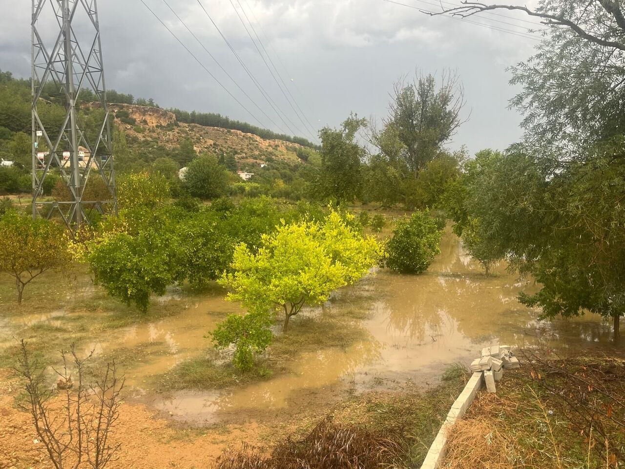 Whatsapp Image 2025 10 23 At 16.25.56 (1)