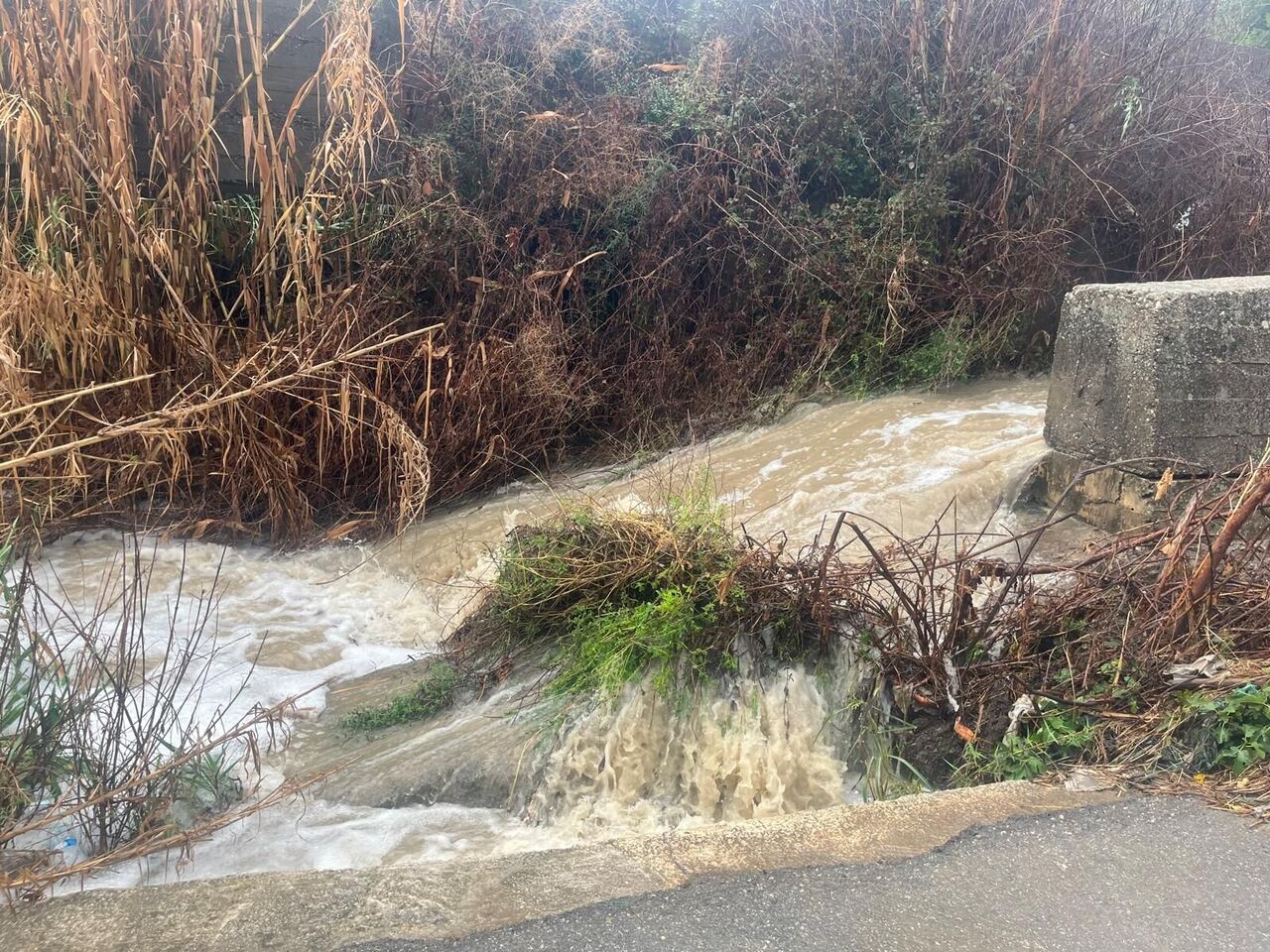 Whatsapp Image 2025 10 23 At 16.25.56 (3)