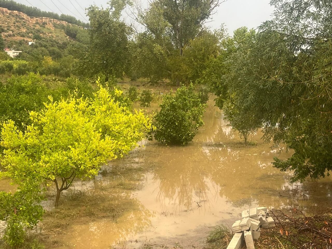 Whatsapp Image 2025 10 23 At 16.25.56