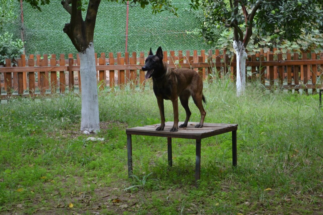 Whatsapp Image 2025 10 23 At 22.57.59