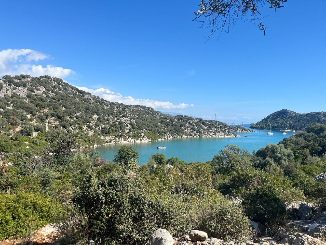 Whatsapp Image 2025 10 27 At 09.06.46