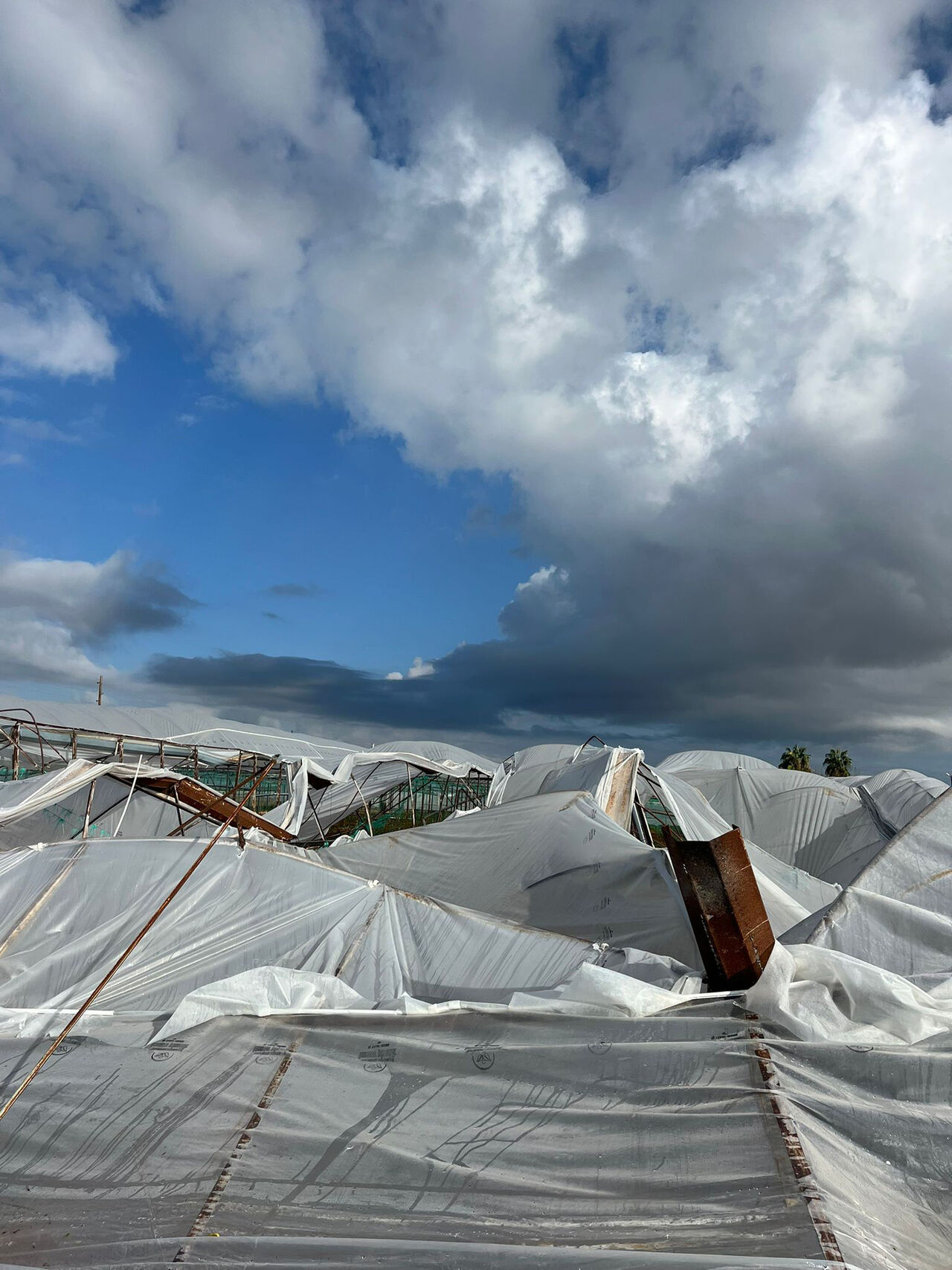 Y A G M U R V E R U Z G A R D A N Z A R A R G O R E N S E R A L A R D 979676 290938