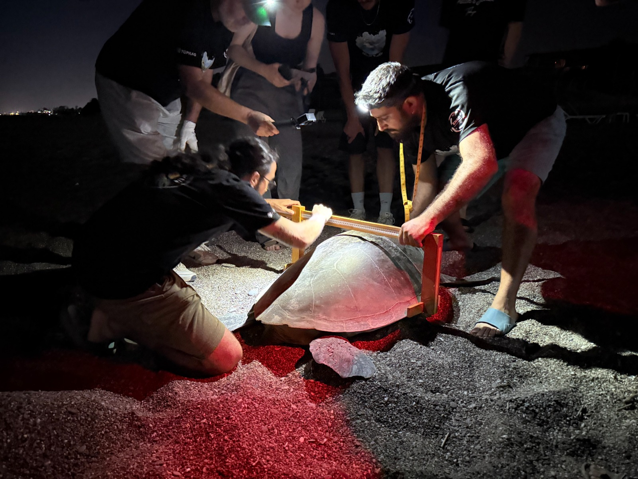 Y A V R U C A R E T T A L A R I K U R T A R A C A K K I R M I Z I I S 944435 280528