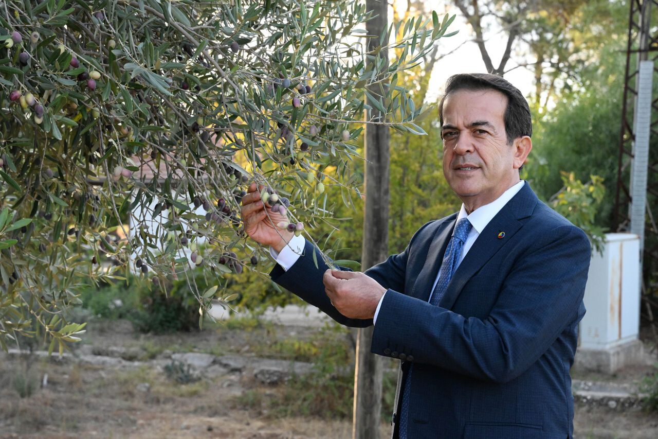 Z E Y T I N D E I K L I M E T K I S I I L E R E K O L T E D E Y U Z D 968735 287720