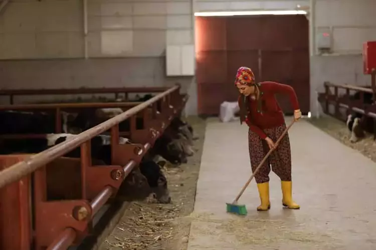 67E263Fa204De30E931Befbe