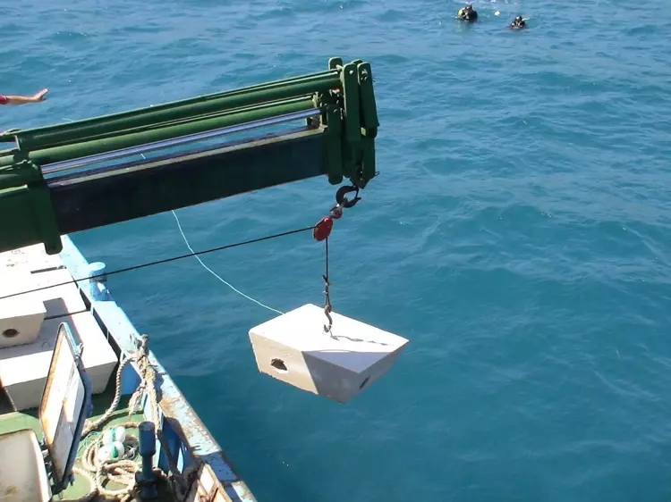 68Ccfd5Da322C59Cc783A820