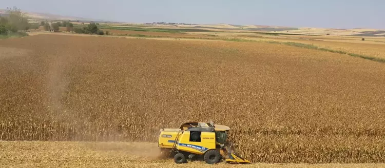 69047B38A322C59Cc784627C