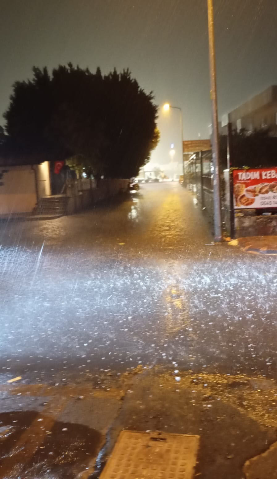 A N T A L Y A D A S A G A N A K Y E R I N I F I R T I N A V E D O 1003673 297800