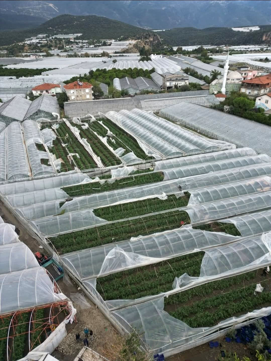 A N T A L Y A D A S A G A N A K Y E R I N I F I R T I N A V E D O 1003676 297800