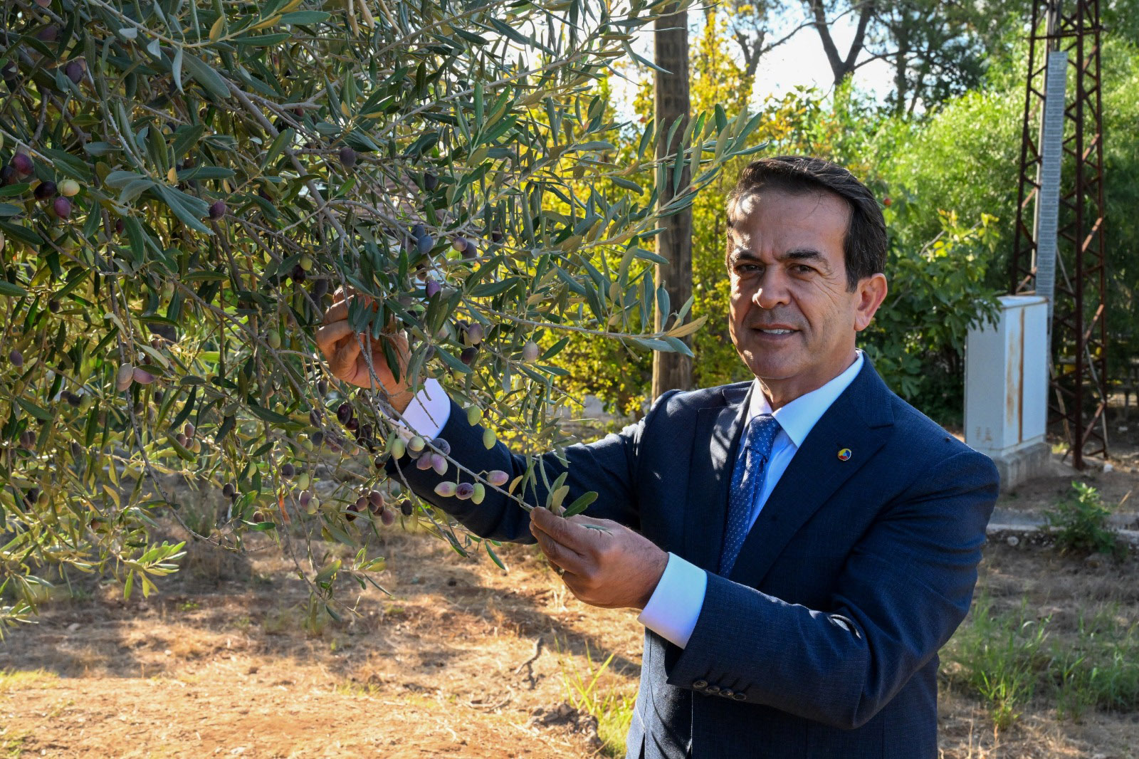 A N T A L Y A N I N S I V I A L T I N I Y A R I S A C A K 1030870 305863