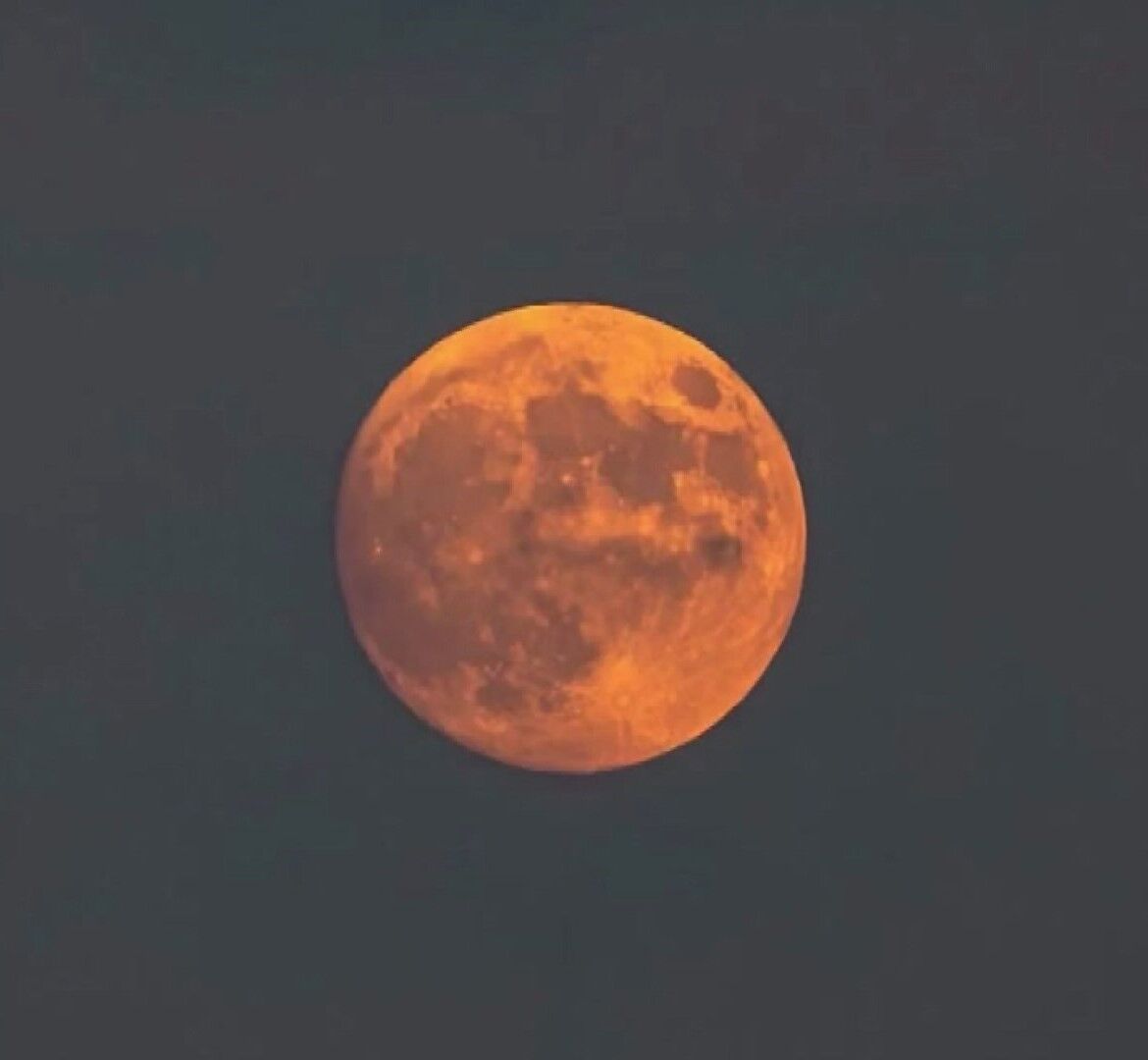 A N T A L Y A S E M A L A R I N D A K U N D U Z S U P E R D O L U N A 1000932 296983