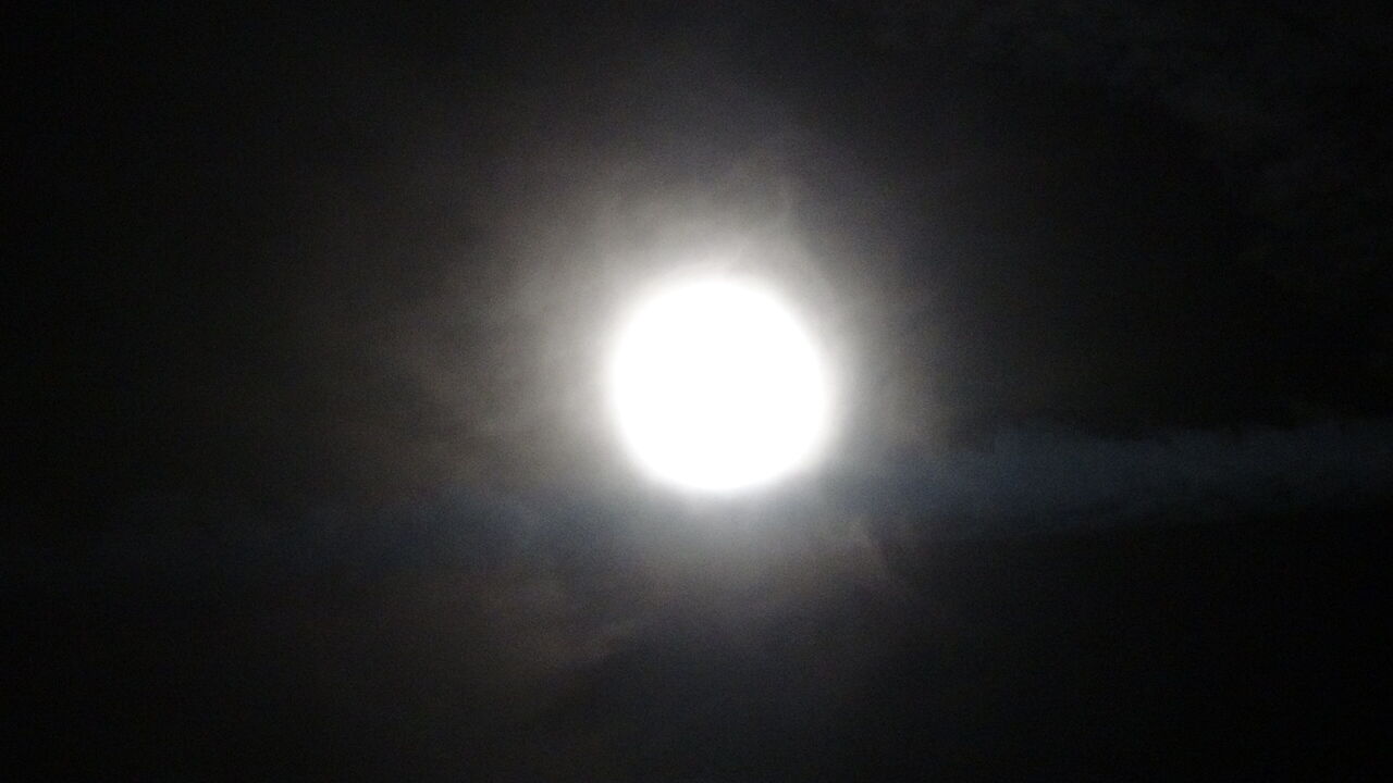 A N T A L Y A S E M A L A R I N D A K U N D U Z S U P E R D O L U N A 1000938 296983