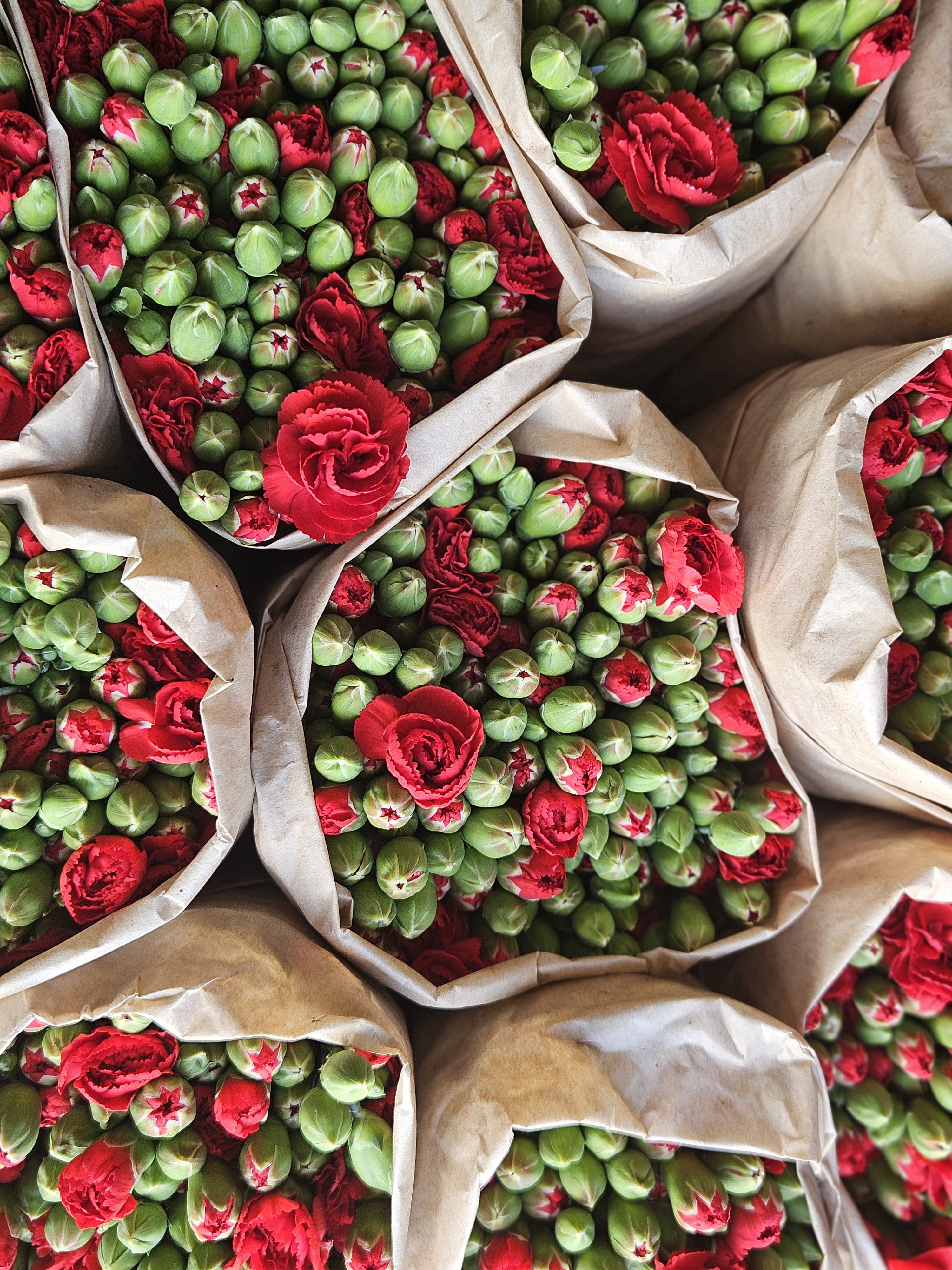 A V R U P A U L K E L E R I N E 12 M I L Y O N D O L A R L I K Y I L 1029989 305598