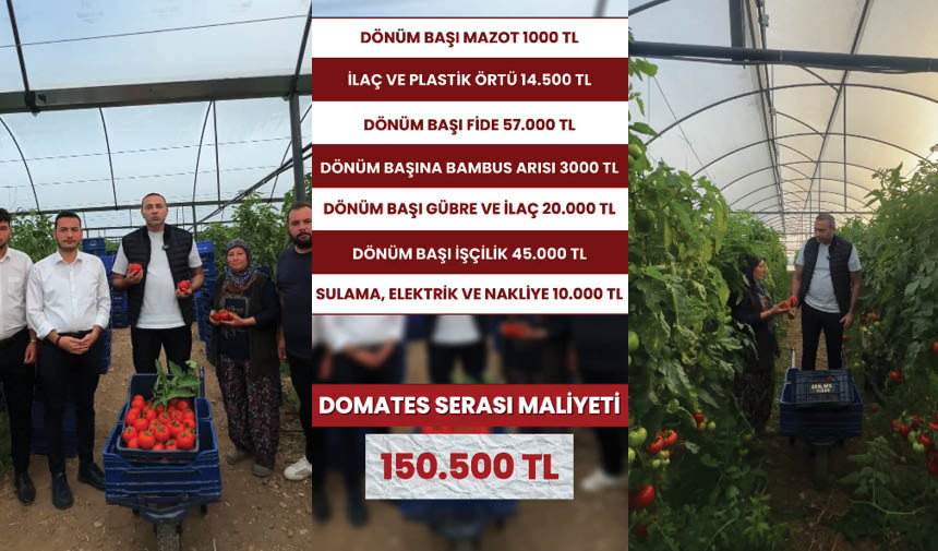 Ayşe Ruti̇n Logolu Taslak-3