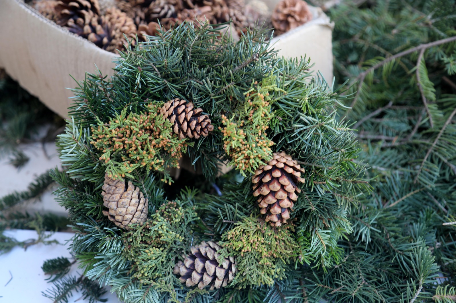 E L E M E G I N O E L C E L E N K L E R I 20 U L K E Y E I H R A C 1025549 304337