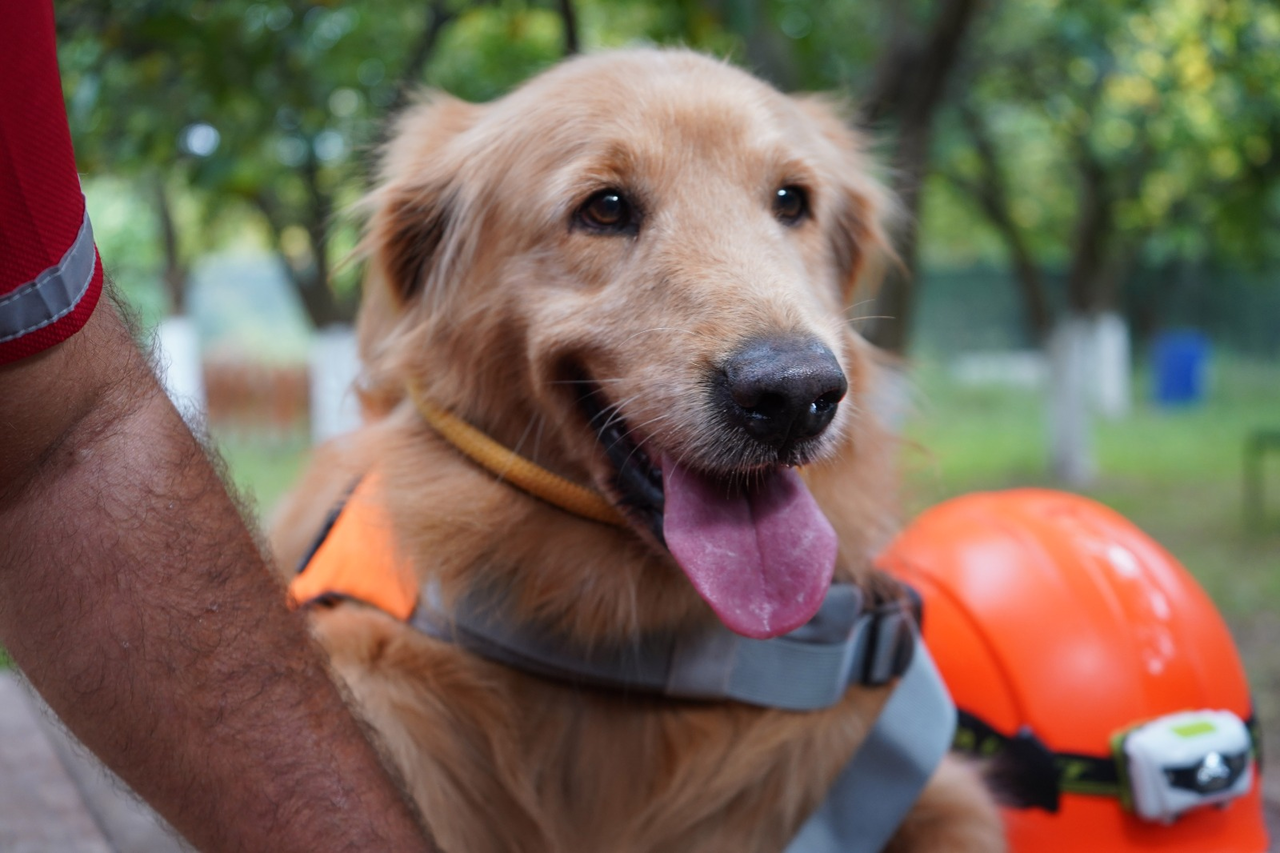 E V C I L K O P E K L E R D E A R A M A K U R T A R M A T I M L E R 1007492 298895