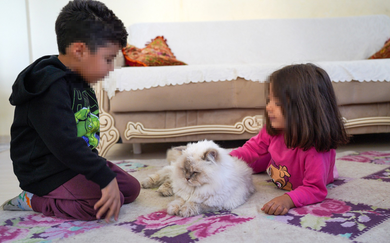 E V D E N T A H L I Y E K A R A R I V E R I L E N D E D E V E 3 T 1013068 300578