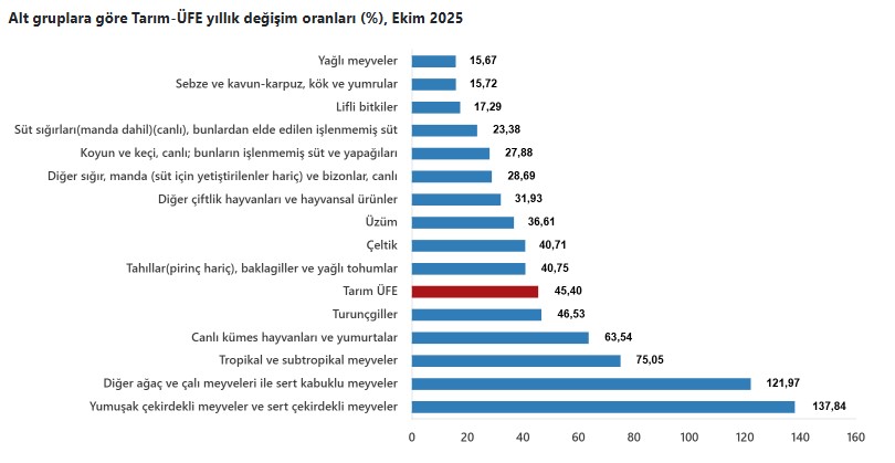Ekran Görüntüsü 2025 11 17 103416