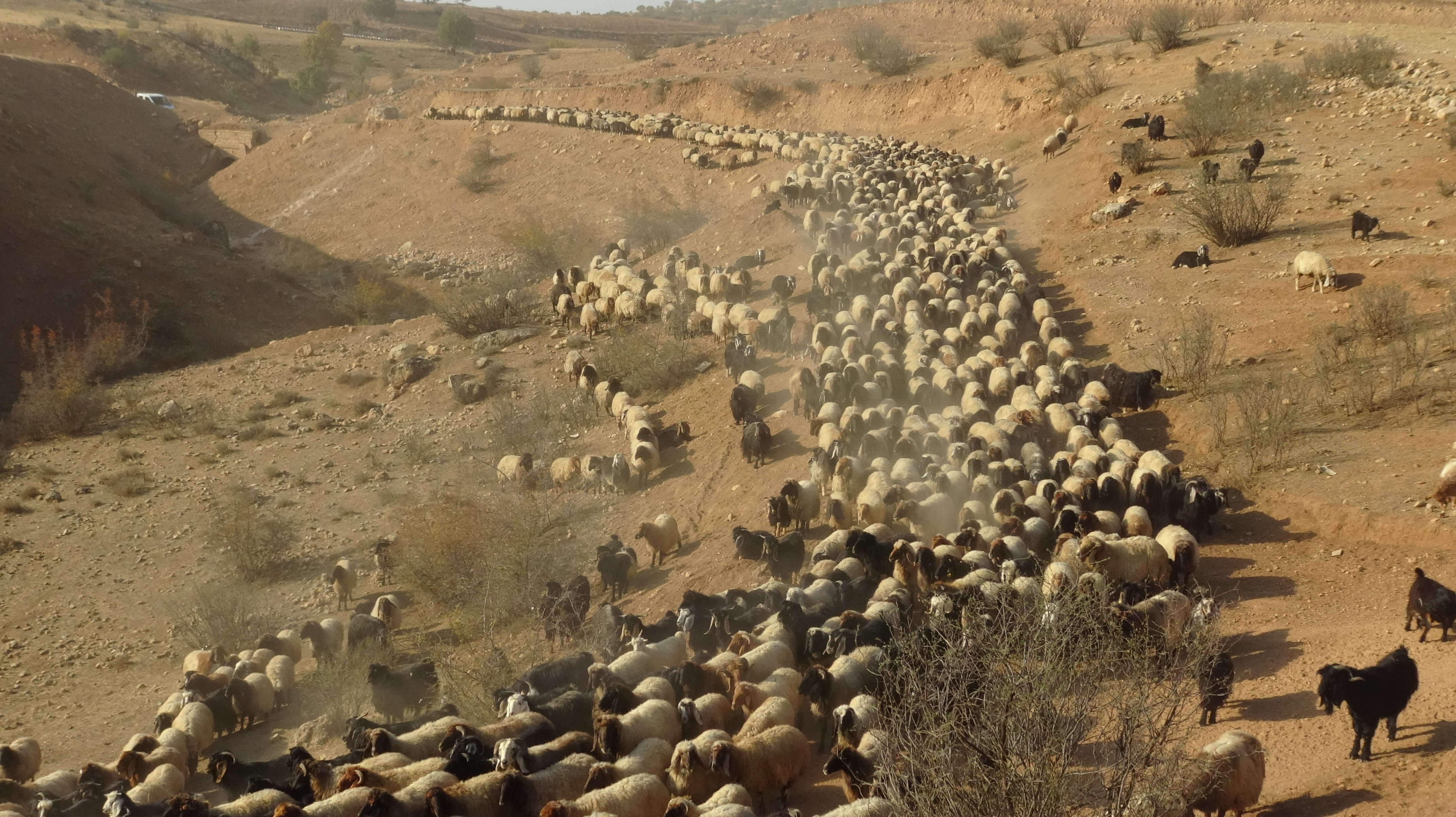 G O C E R L E R I N Z O R L U Y O L C U L U G U B A S L A D I 1027194 304822