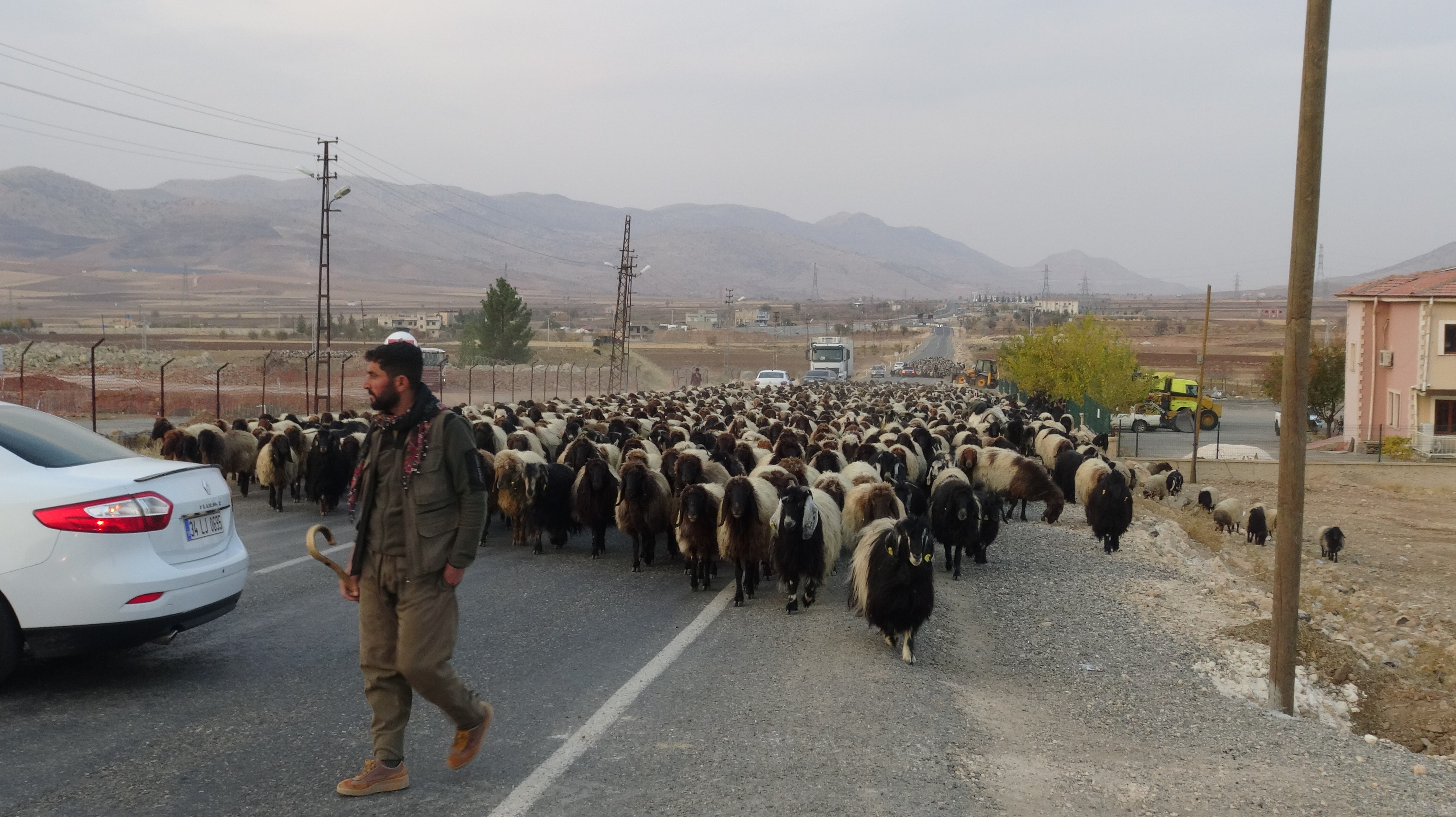 G O C E R L E R I N Z O R L U Y O L C U L U G U B A S L A D I 1027197 304822