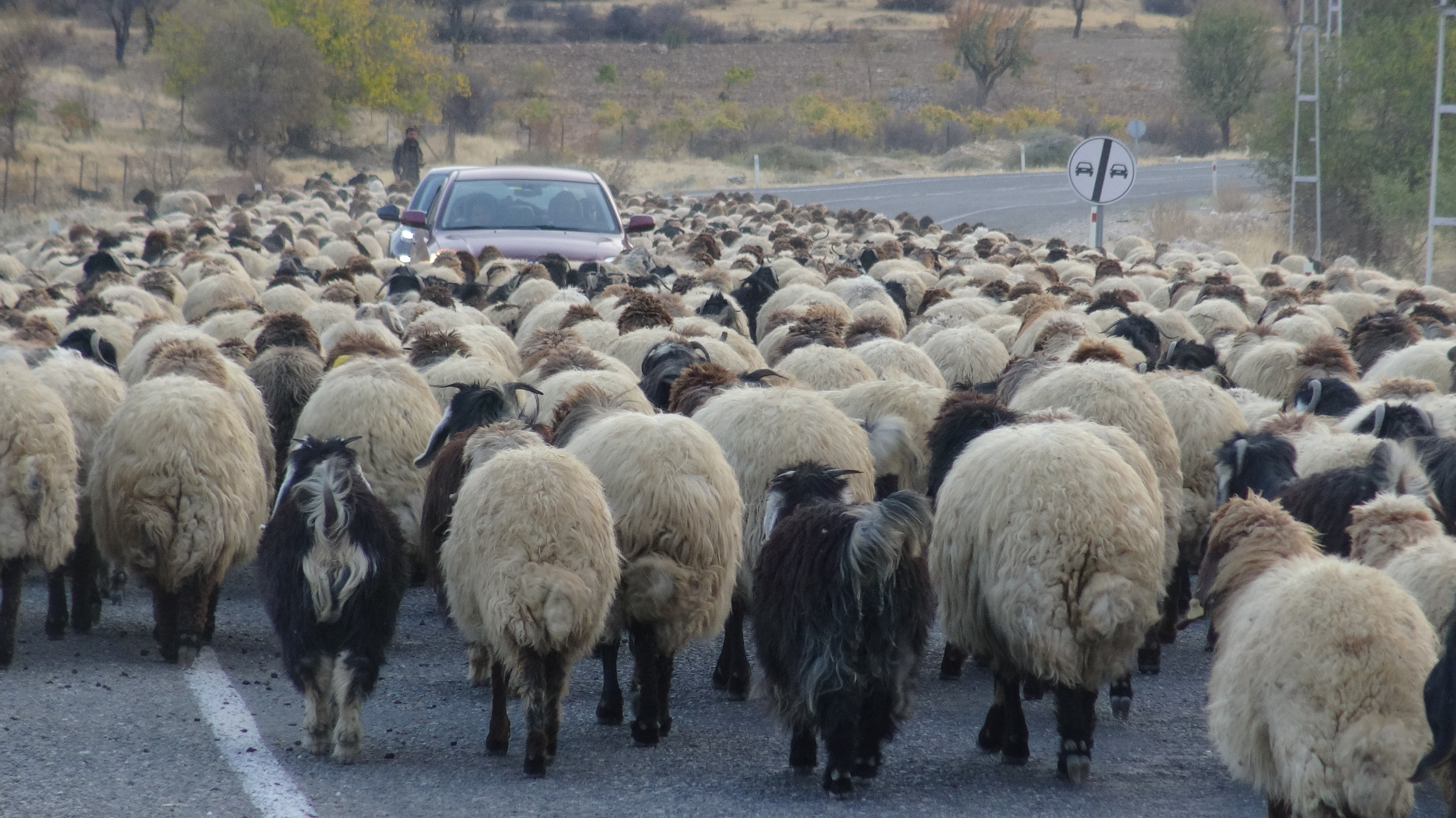 G O C E R L E R I N Z O R L U Y O L C U L U G U B A S L A D I 1027199 304822