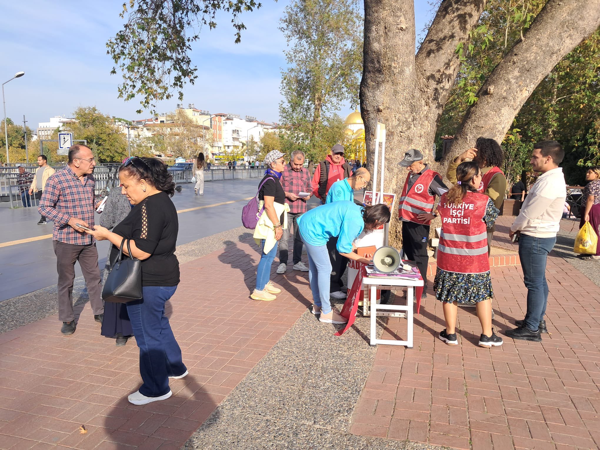 G6 S5 Rsg Wg A A9Ll7