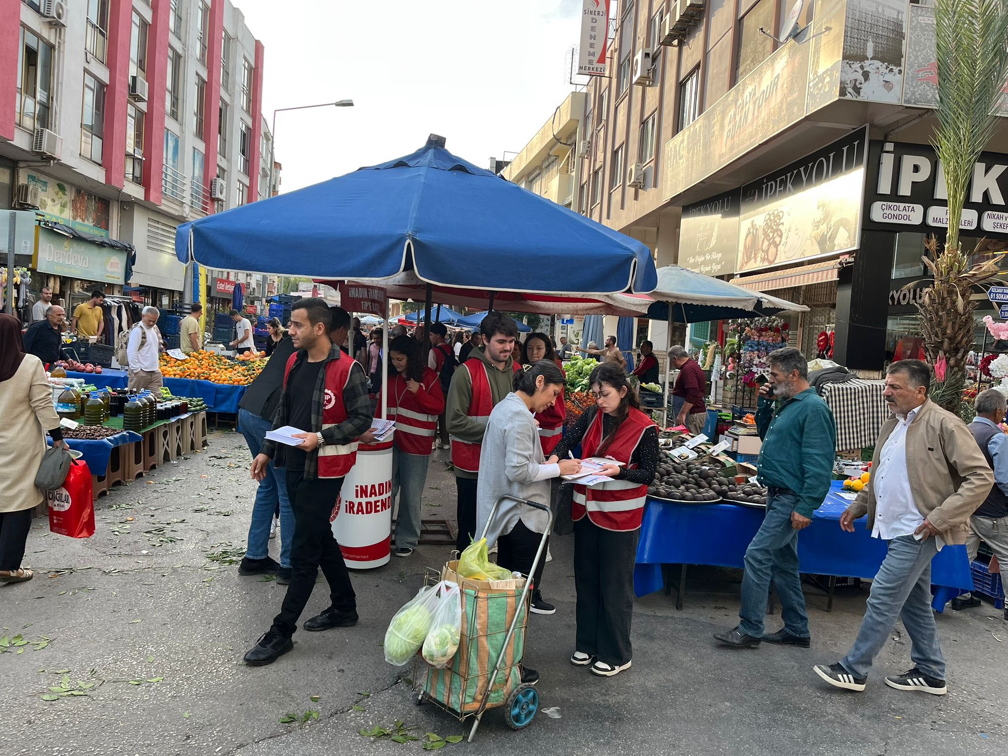 G6 Smm P W Wo A A58 Yi