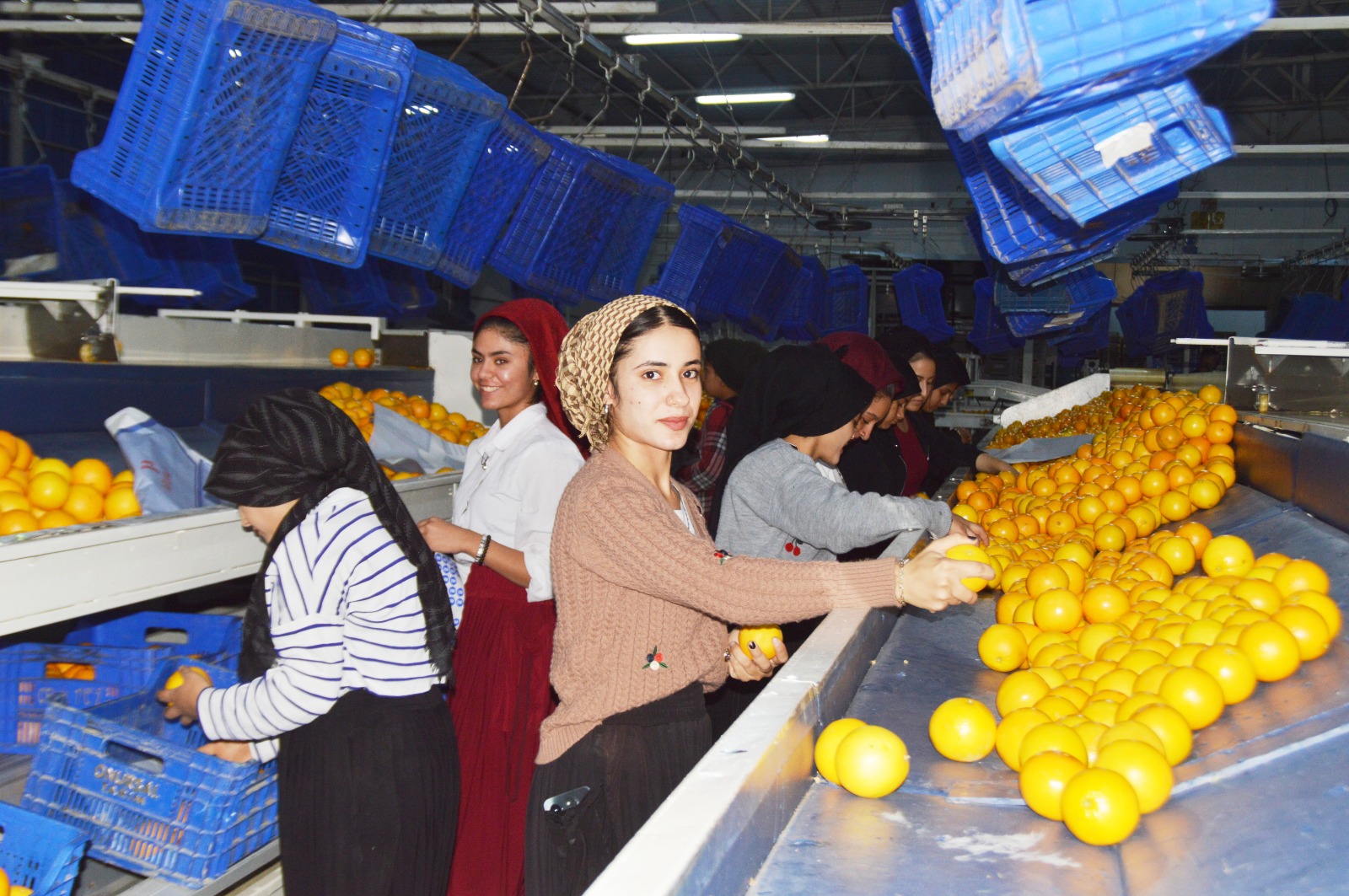 H A B E R C I L E R P O R T A K A L M E M L E K E T I N D E 1018175 302072