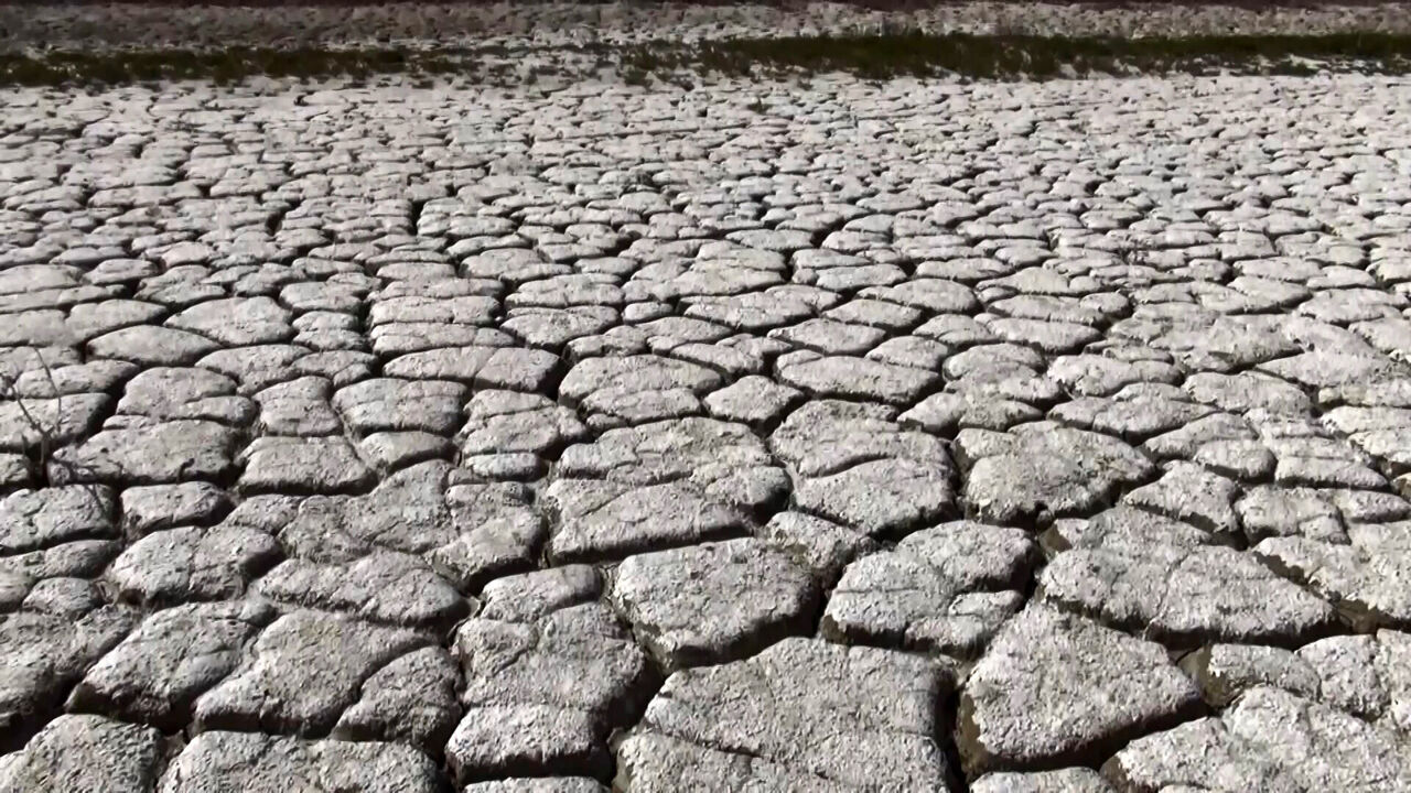 I K L I M D E G I S I K L I G I N E U Y U M I C I N O R N E K P R O J 1002971 297606