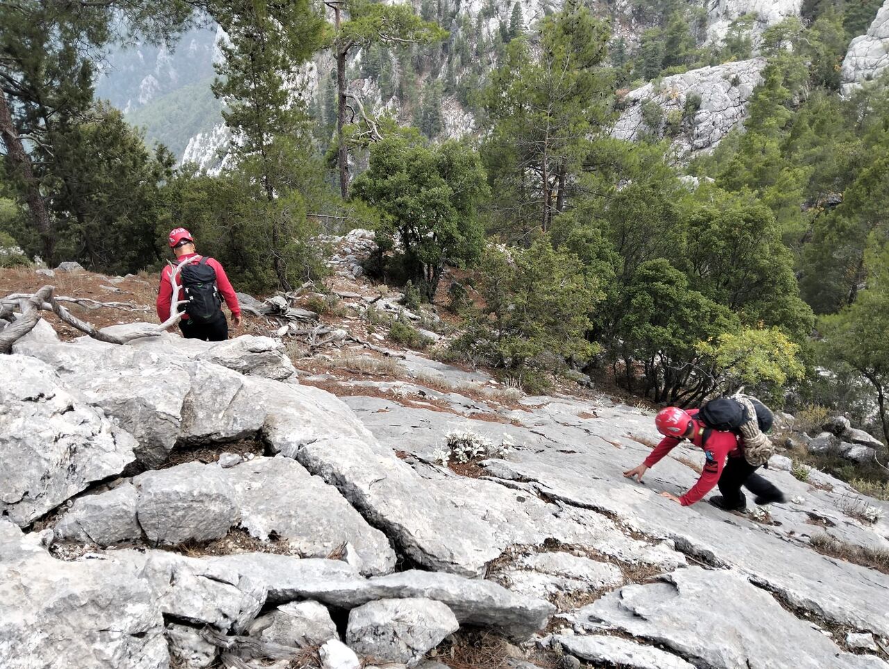 L I K Y A Y O L U N D A M A H S U R K A L D I 3 S A A T L I K C 1012561 300409