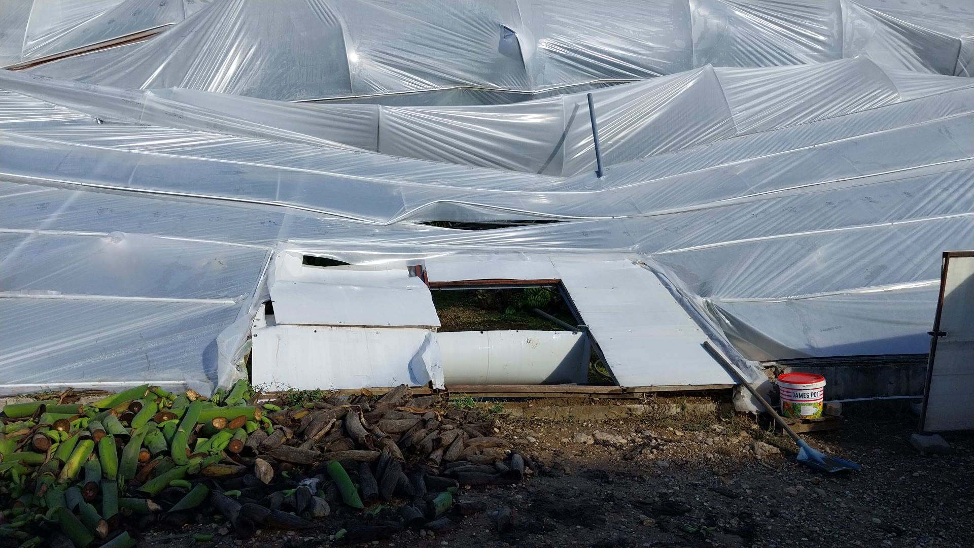 M A N A V G A T T A H O R T U M S E R A L A R A Z A R A R V E R D I 1040834 308856