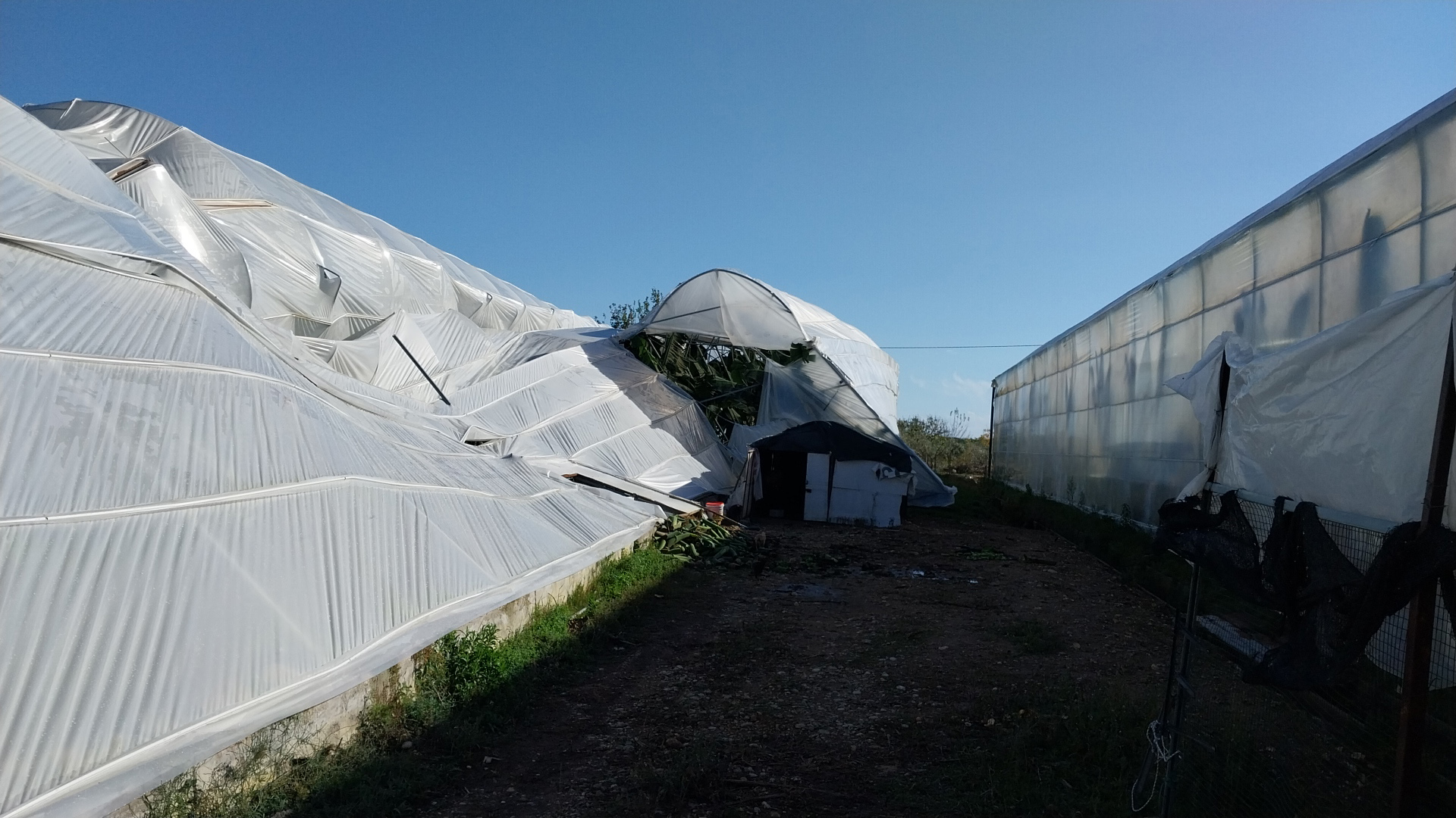 M A N A V G A T T A H O R T U M S E R A L A R A Z A R A R V E R D I 1040835 308856