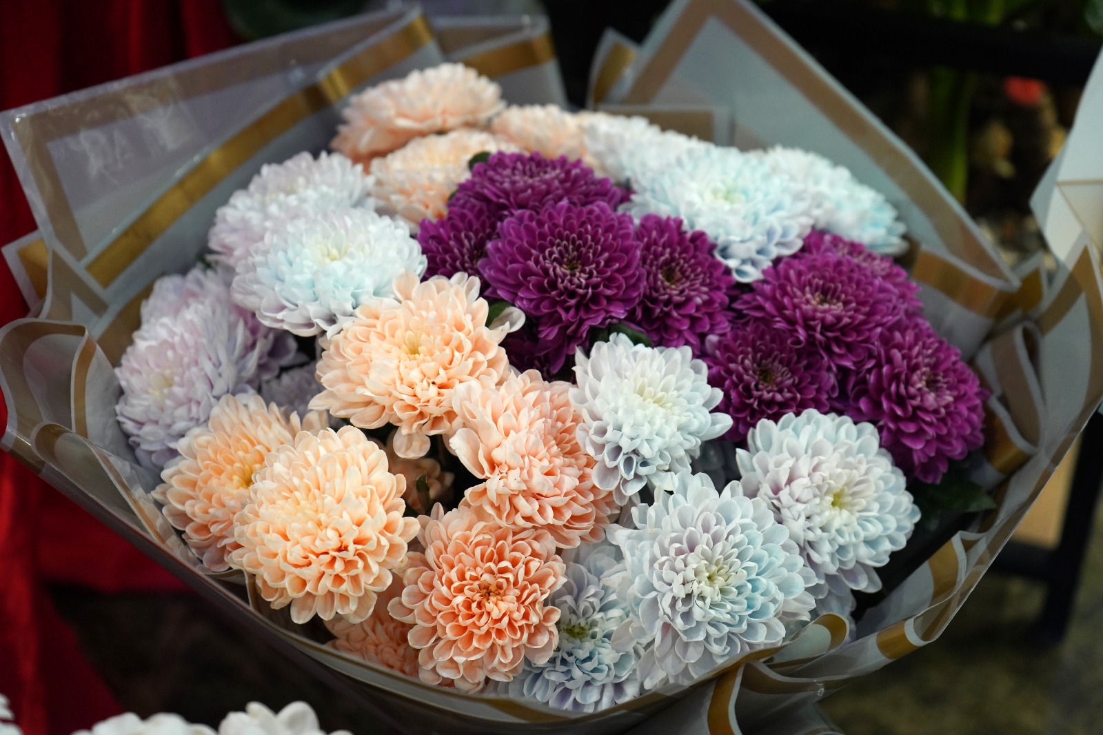 O G R E T M E N L E R G U N U I C I N E N C O K K I R C I C E G I 1028716 305239