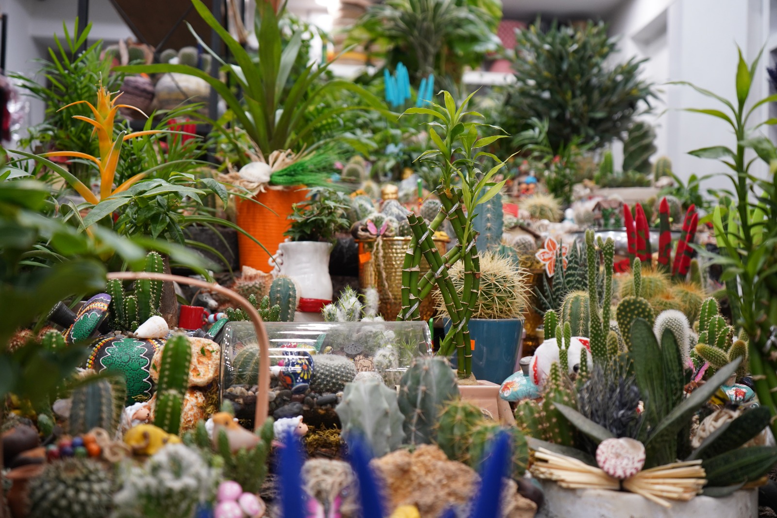 O G R E T M E N L E R G U N U I C I N E N C O K K I R C I C E G I 1028718 305239