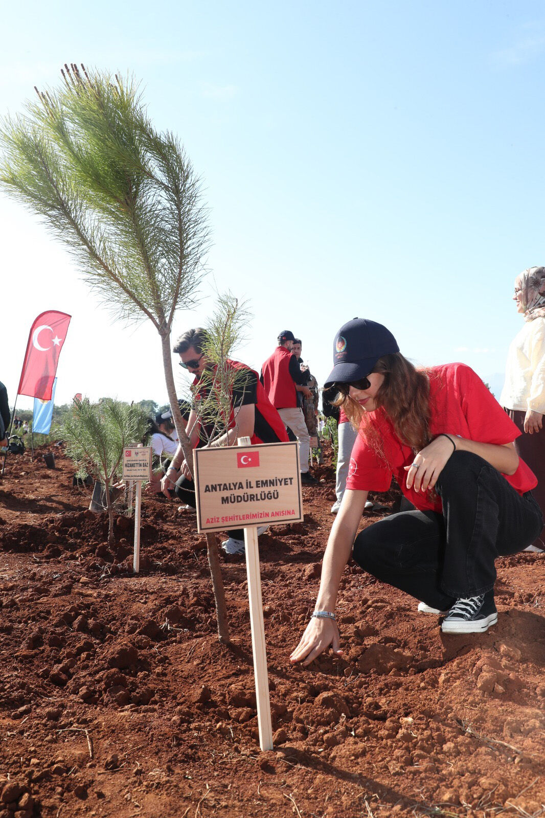 S E H I T L E R I C I N F I D A N D I K I M E T K I N L I G I 1012496 300392