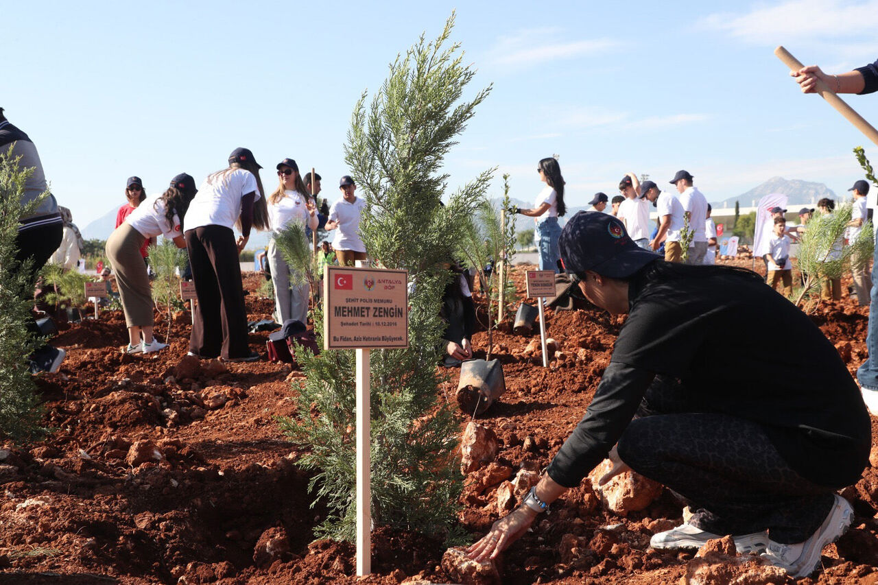 S E H I T L E R I C I N F I D A N D I K I M E T K I N L I G I 1012499 300392