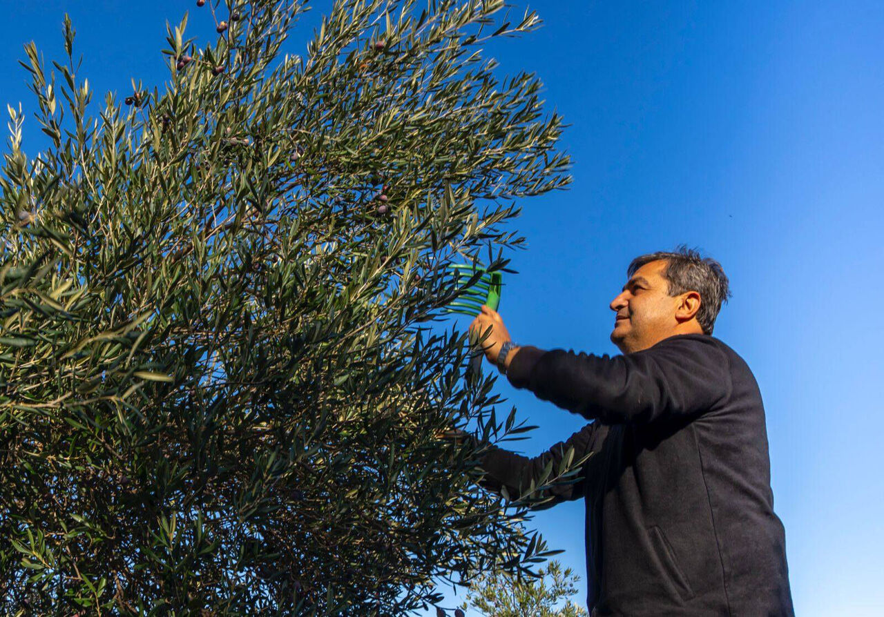 S E R I K T E Z E Y T I N H A S A D I B A S L A D I 1016971 301723