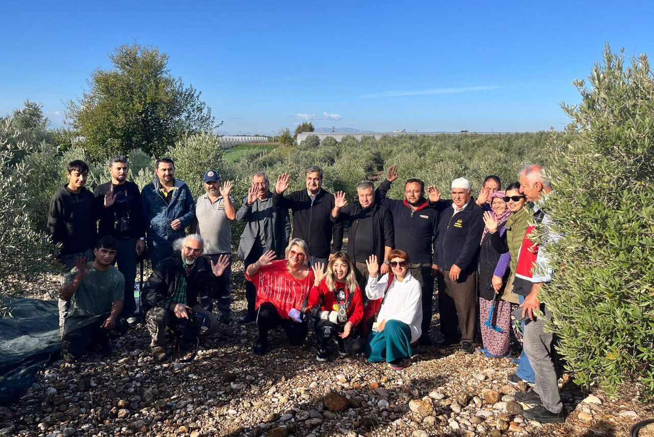 S E R I K T E Z E Y T I N H A S A D I B A S L A D I 1016972 301723