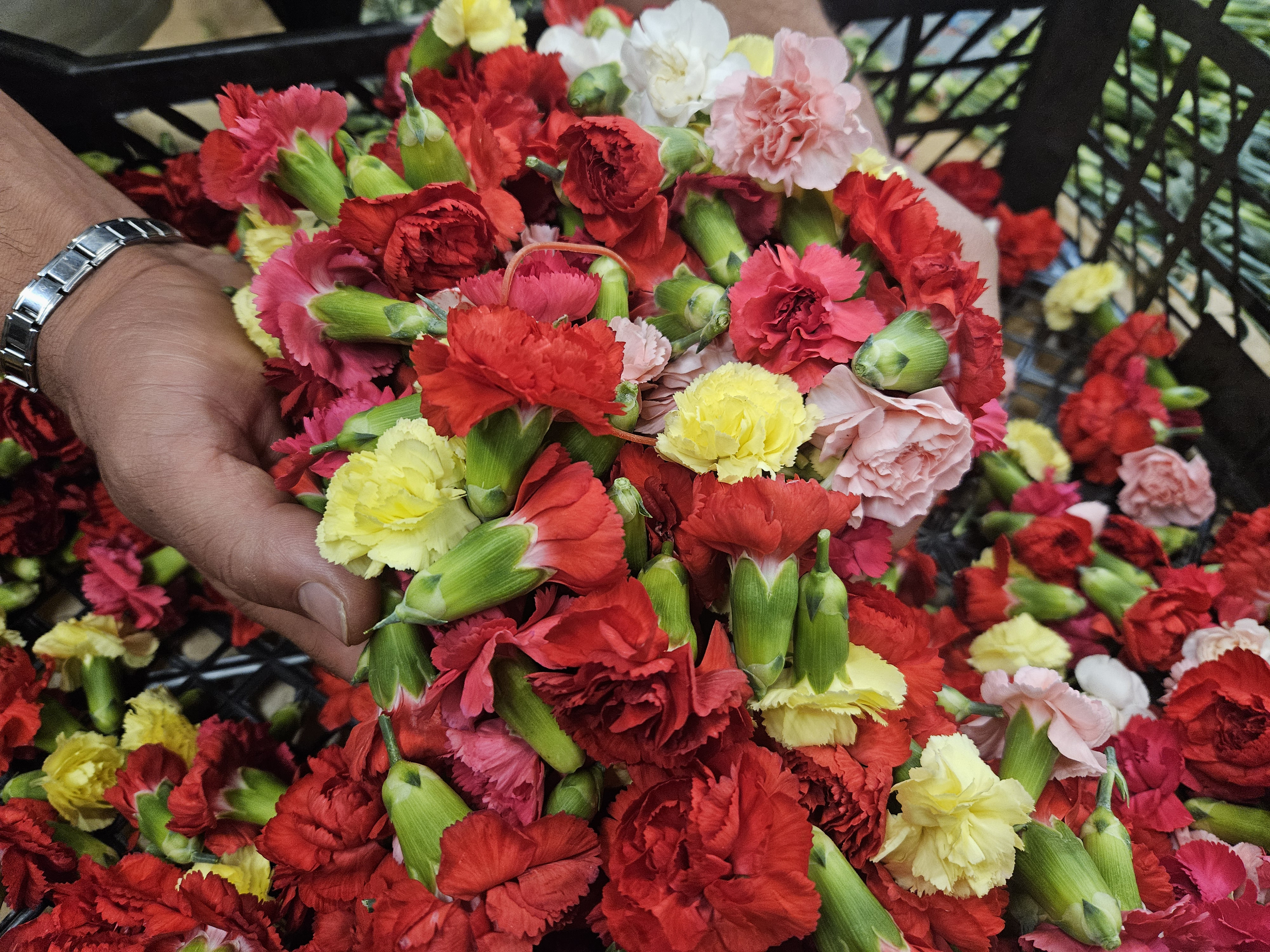 S I R T A K I D E T A B A K K I R M A N I N Y E R I N I A L A N T U R 1033635 306738