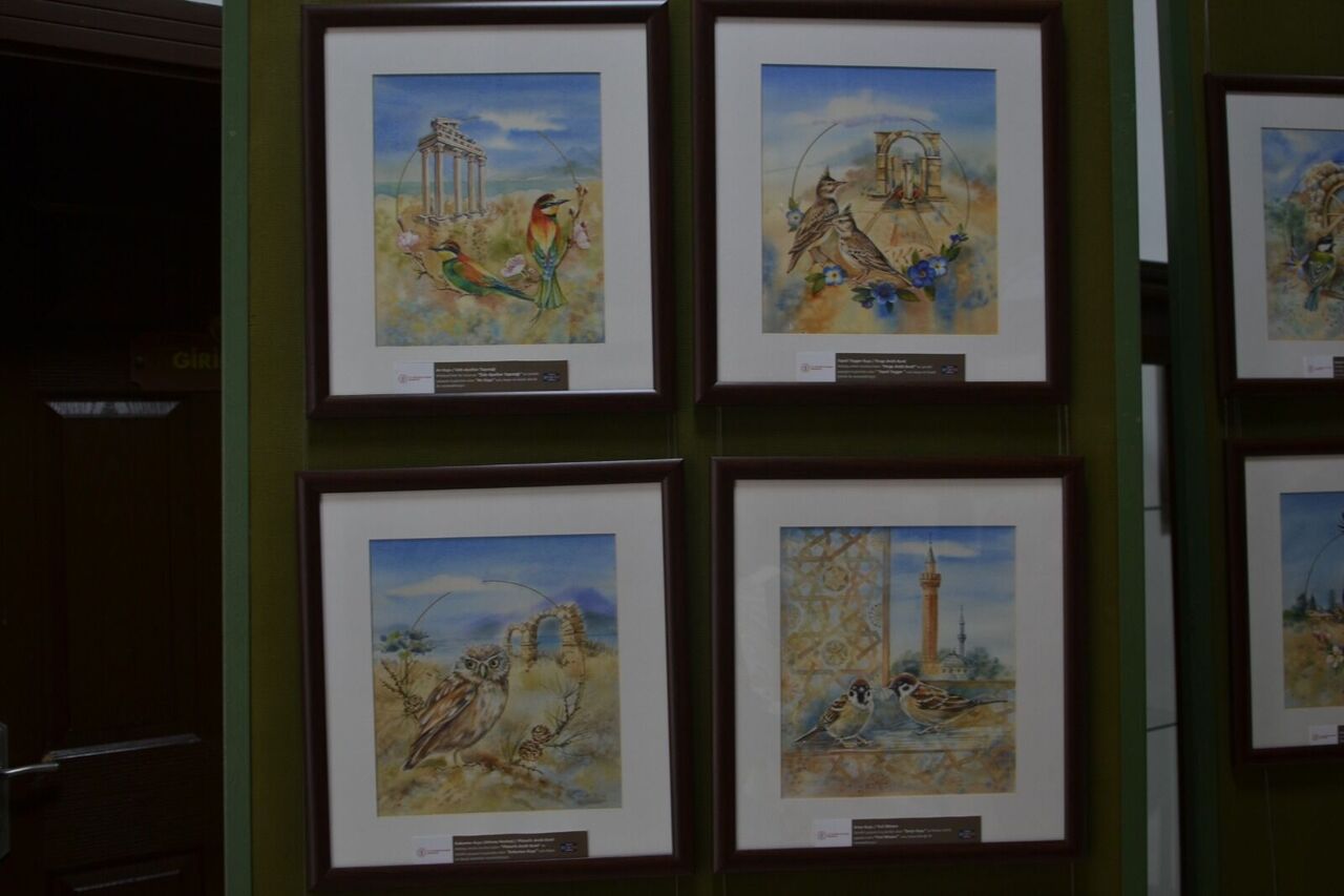 Whatsapp Image 2025 11 03 At 17.23.53 (1)