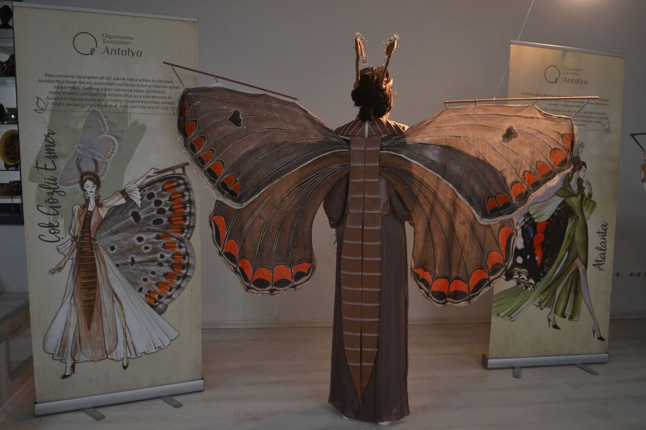 Whatsapp Image 2025 11 03 At 20.10.38