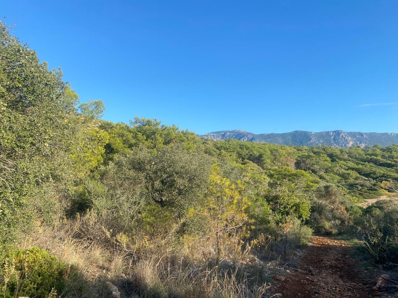 Whatsapp Image 2025 11 08 At 16.55.00 (1)