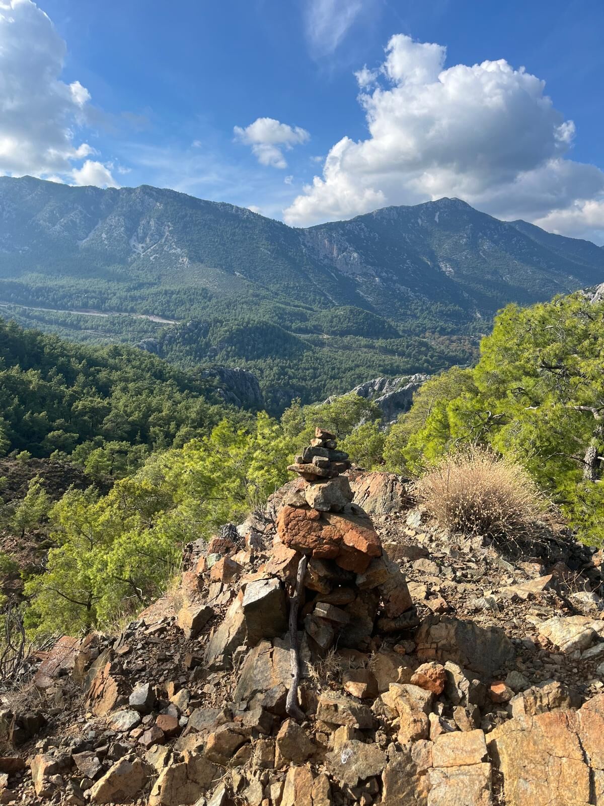 Whatsapp Image 2025 11 10 At 12.08.27