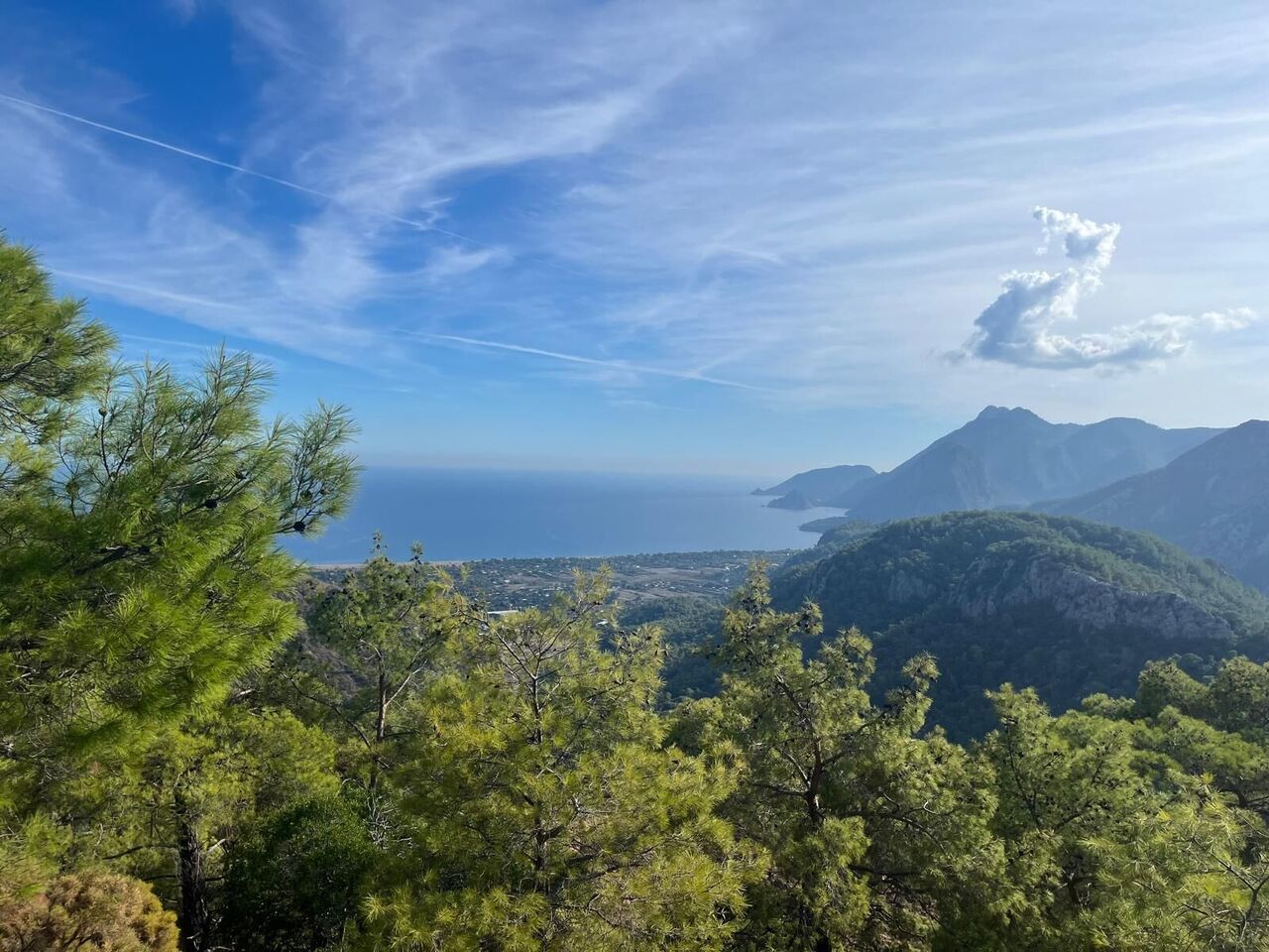 Whatsapp Image 2025 11 10 At 12.08.47